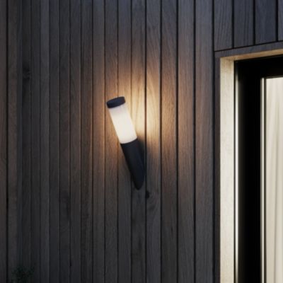 Applique murale extérieur Lumihome Eclat fer inox/plastique noir LED 4W