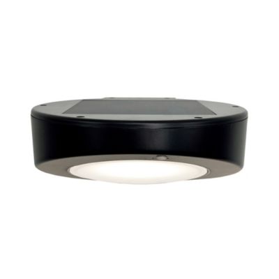 Applique murale extérieur solaire à détection Bardum 3W IP44 blanc froid l.16 x H.21 cm noir Brilliant