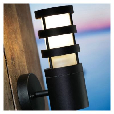 Applique murale extérieure Darwin Noir