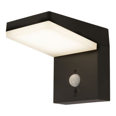 Applique murale extérieure solaire LED intégrée à détection Tomman 650 lm IP44 noir GoodHome