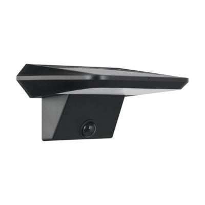 Applique murale solaire Porrassa LED intégrée 800 lms IP44 Eglo noir