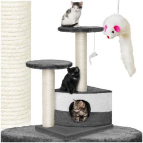 Arbre à chat griffoir escalade 71 cm