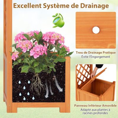 Arche de Jardin avec 2 Jardinières Surélevées 200CM, pour Plantes,Fleurs Herbes Légumes Fruits en Bois Massif, Porte Allée Jardin