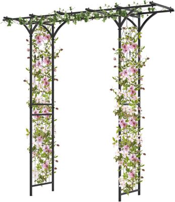 Arche de Jardin Fer 205 cm Arche de Jardin avec Treillis pour Plantes Grimpantes Vignes Roses Arche Décorative Extérieure