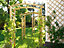 Arche de jardin pergola arc bois Stelmet