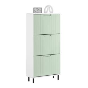 Armoire à Chaussure Inclinable avec 3 Abattants, FSR157-GR, SoBuy