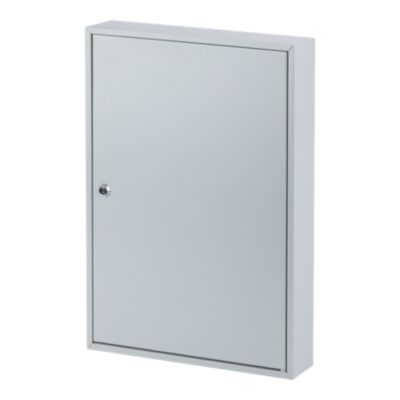 Armoire A Cles Coffre Fort Gris Clair En Acier Smith Locke K100 Mm Castorama