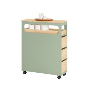 Armoire de Salle de Bain Sur Roulettes Placard étoite, BZR54-GR, SoBuy