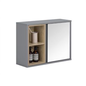 Armoire Murale Placard de Rangement Suspendu, Porte, 2 Compartiments, BZR149-DG, SoBuy