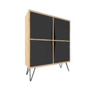 Armoire à Usages Multiples Momentum, Anthracite, Panneau d'Aggloméré Mélaminé, 90x30x110 cm, EPIKASA