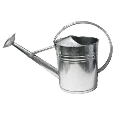 Arrosoir galva ovale 12L