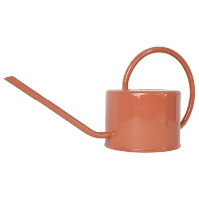 Arrosoir pêche 1L GoodHome