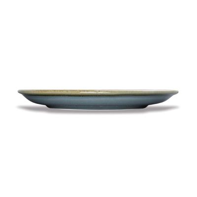 Assiette Plate Ronde Couleur Océan 230 mm - Lot de 6
