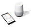 Assistant Google Home