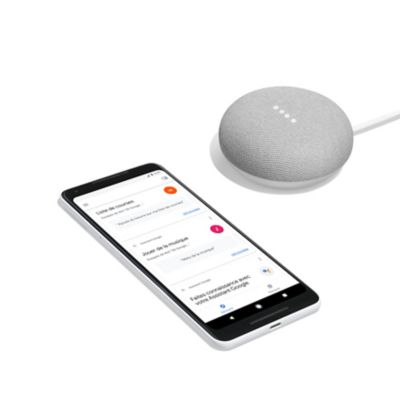 Assistant vocal Google mini rock candy