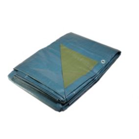 Bâche de jardin 2 x 3 m Bleue et verte Etanche Polyéthylène 150g/m²