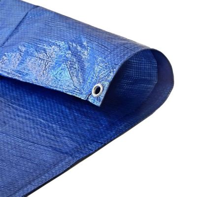 Bâche de Protection 10x15 m - TECPLAST - SR150MU - Bleue et Verte - Haute Qualité - Bâche d'extérieur imperméable avec oeillets