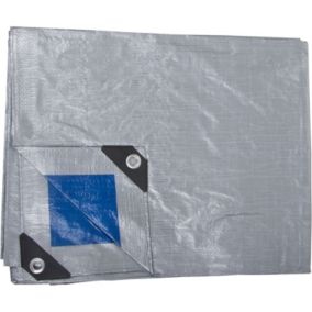 Bâche De Protection 110g/m², 6 X 10m, Proline