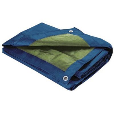 Bâche de Protection étanche avec Oeillets 60gr/m² (4x5 m - Bleu)