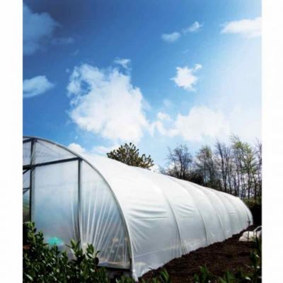 Bâche de serre thermique Plasticlair 200 microns incolore - Long 31 m, Larg 8.50 m