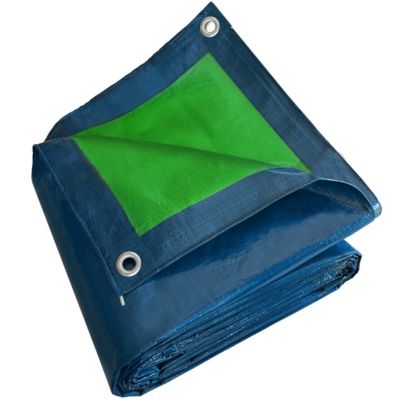 Bâche Peinture 3x5 m - TECPLAST - SR150PE - Bleue et Verte - Haute Qualité - Bâche de protection Peinture pour sol et meuble