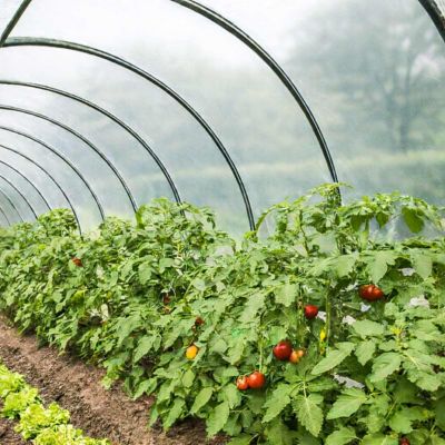 Bâche Serre 6x4 m - TECPLAST 200SE - Film plastique transparent pour serre de jardin - Haute Performance - Made in France