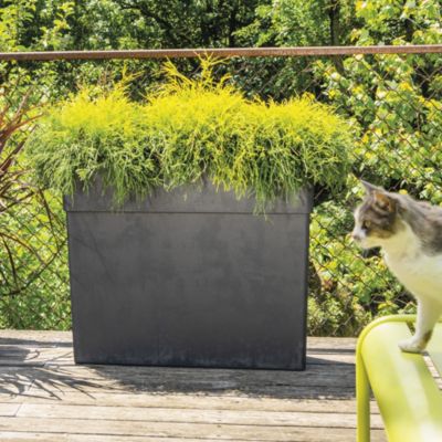 Bac à fleurs muret haut Like R Anthracite 78cm Deroma