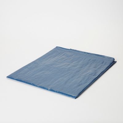 Bâche de protection légère bleue L.3 x l.2 m