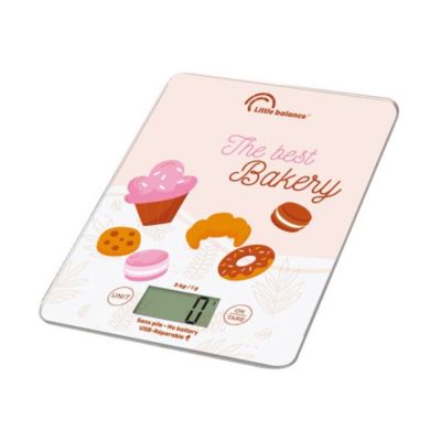 Balance de cuisine électronique 5kg/1g Little Balance 8717 slim usb-r