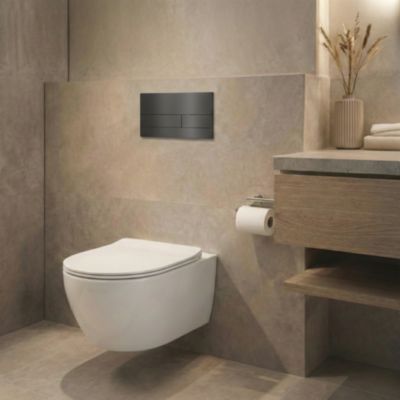 BALNEO - plaque de commande flo en acier inoxydable gris foncé Gun Metal - plaque double touche