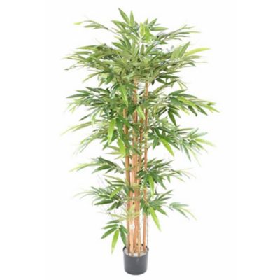 Bambou éco artificiel h.170/180 cm décoratif