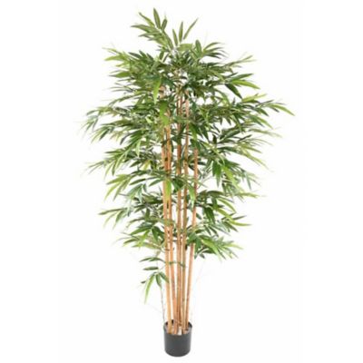 Bambou éco artificiel h.200/210 cm décoratif