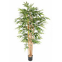 Bambou éco artificiel h.200/210 cm