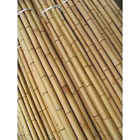 Bambou naturel ø55-60 mm L.3 m