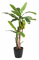 Bananier avec fruit artificiel h.180 cm
