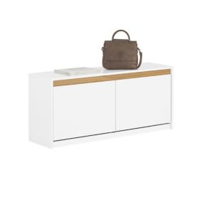 Banc à Chaussures 2 Abattants avec Un Compartiment Supérieur, FSR171-W, SoBuy