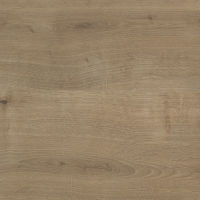 Bande de chant aspect chêne L. 240 cm x l. 30 mm