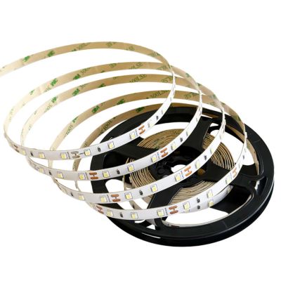 Bande LED 14,4 W 6500 K blanc froid (CW) dimmable 590lm IP20 12 V DC rouleau 5 m Nastro PRO EDO