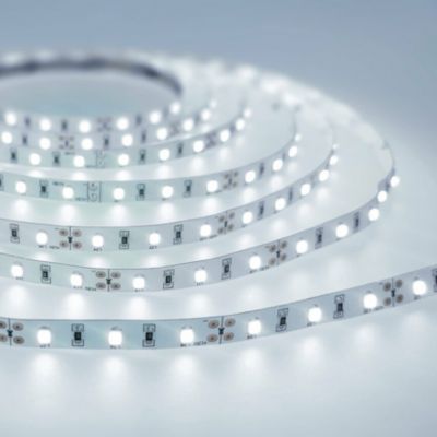 Bande LED 14,4 W 6500 K blanc froid (CW) dimmable 590lm IP20 12 V DC rouleau 5 m Nastro PRO EDO