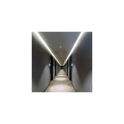 Bande LED 24V 2835 - 120 LED/m - Blanc Froid 6000K - Non étanche - 5m
