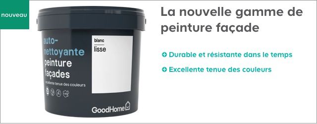 Peintures Enduits Crépi Quelle Finition De Façade Choisir