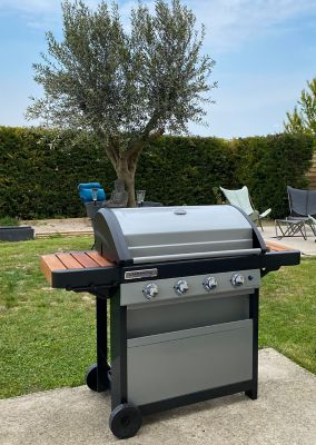 Barbecue à gaz Campingaz 4 Series Woody L Plus