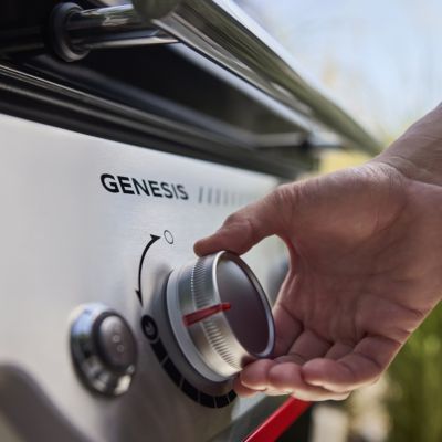 Barbecue à gaz Weber Genesis E-315W 68 x 48 cm 3 brûleurs 16 personnes mix plancha