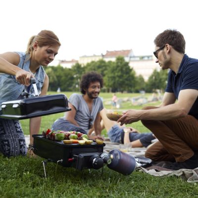 Barre De Remplacement Pour Barbecue Weber 9201 Et Go-Anywhere - Acier Inox émaillé Porcelaine - 38,1 Cm