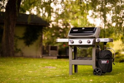 Barbecue à gaz Weber Spirit II E-310