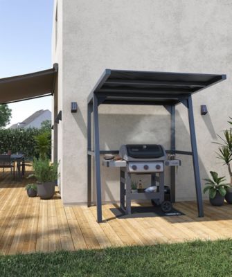 Barbecue à gaz Weber Spirit II E-310