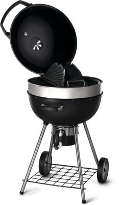 Barbecue Napoleon Rodeo Pro