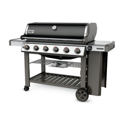 Barbecue gaz Weber Genesis 2 E610 noir