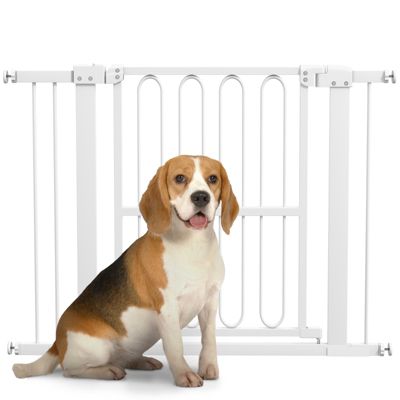 Barrière de porte pour chien 76-104 cm en métal et plastique blanc