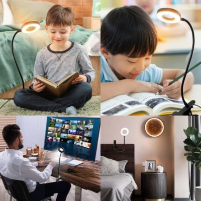 BASHLWUA Lampe de bureau à LED, lampe à pince avec chargeur USB, lampe de lecture à pince flexible à 360  , 3 modes d'éclairage et